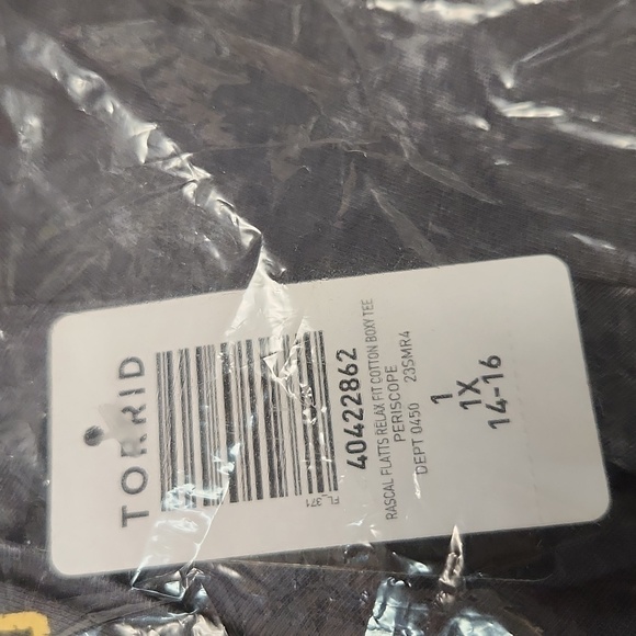 ❤️NWT VINTAGE TORRID BAND TEE RASCAL FLATTS COUNTRY MUSIC ICON CONCERT SHIRT  1X - Picture 6 of 10